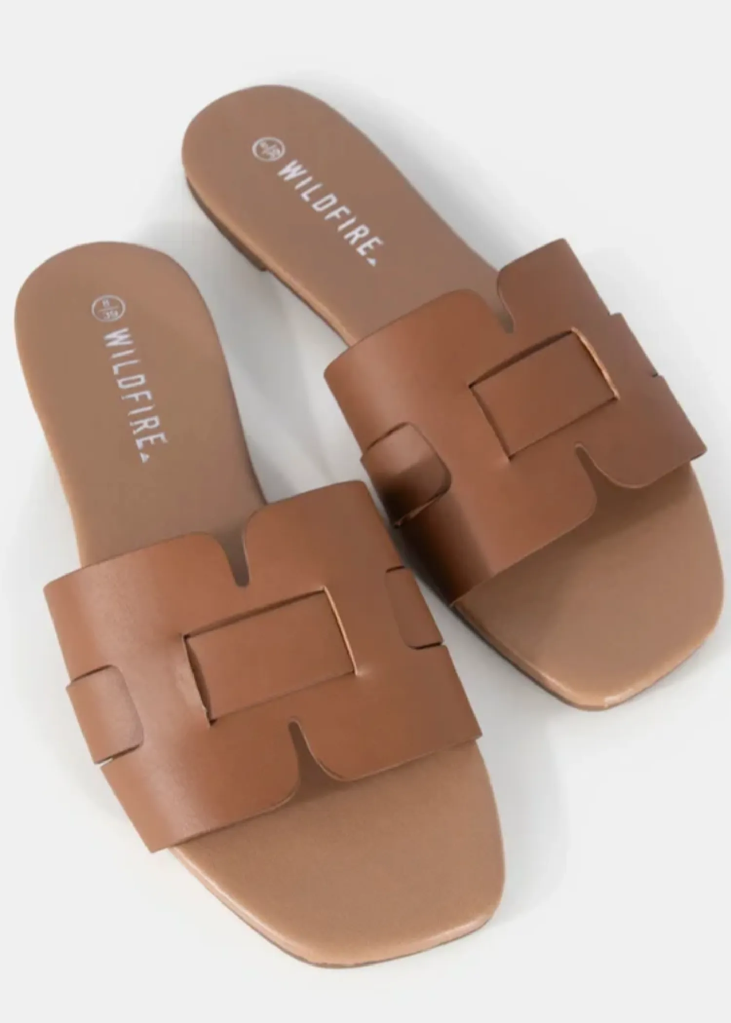 DITTANY SLIDE