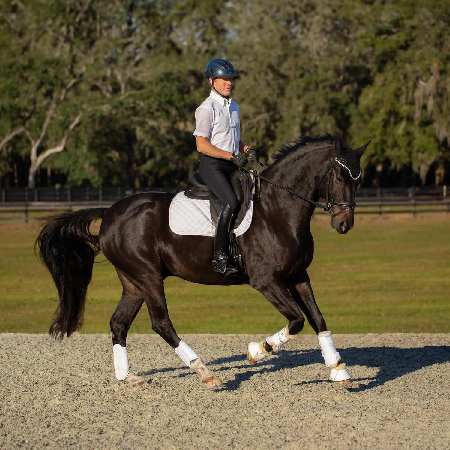 Equinavia Erik Mens Silicone Knee Patch Breeches | Ultimate Comfort & Performance Riding Pants