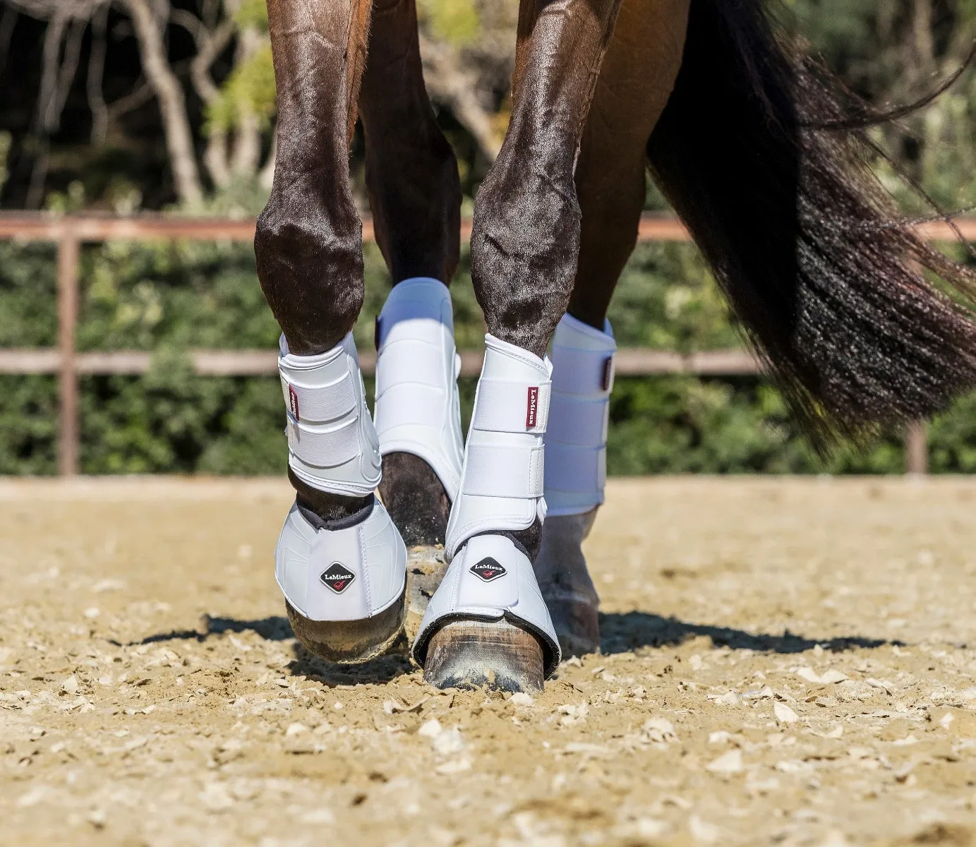 LeMieux ProShell Brushing Boots