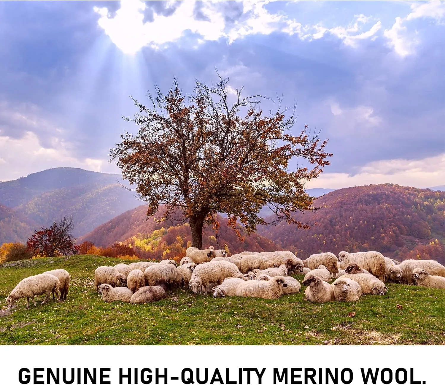Merino Wool Hiking Walking Crew Socks 3 Pack, Cushion, Quick Dry