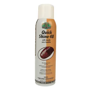 Moneysworth & Best QUICK SHINE 48
