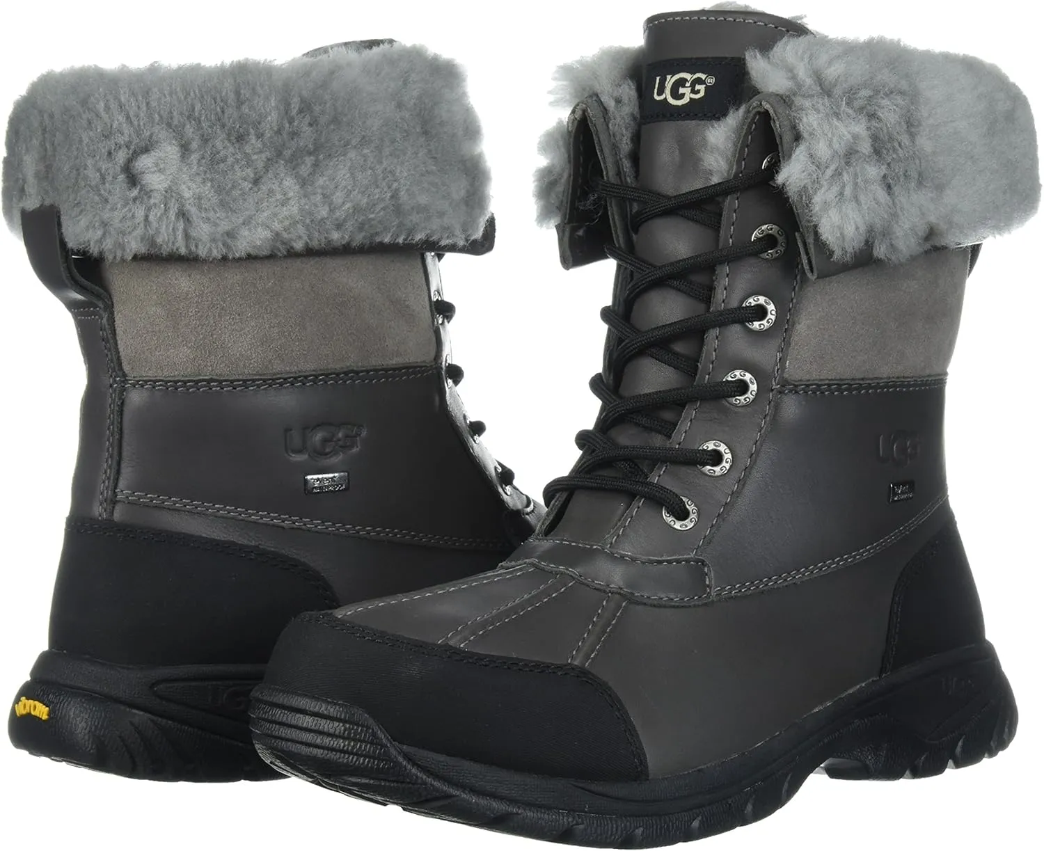 UGG Men's Butte Boot
