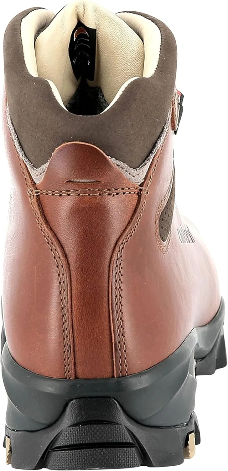 Zamberlan Men's VIOZ Lux GTX Rr Backpacking Boot Updated